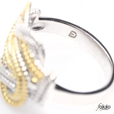 Surinaamse mattenklopper ring goud met zilver van Fokko Design
