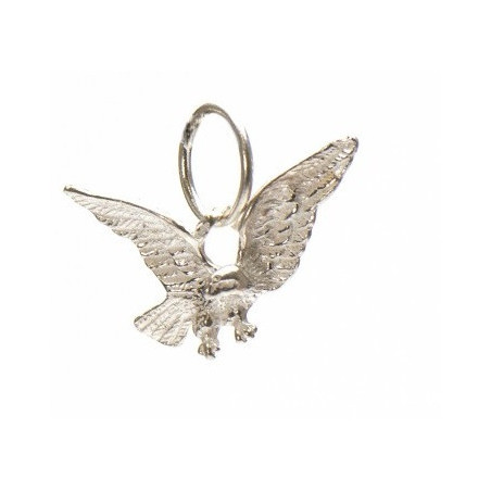 Surinaamse zilveren hanger | Surinaamse hanger | Surinaamse juwelier