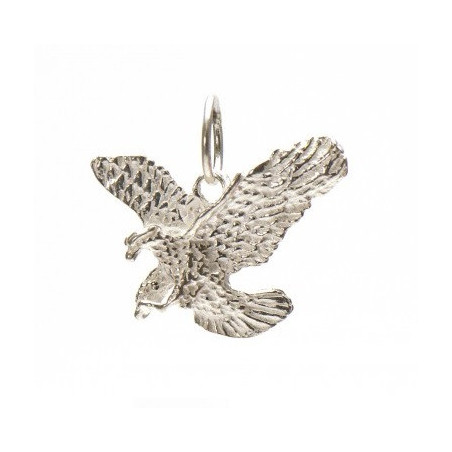 Surinaamse adelaar hanger | Surinaamse juwelier